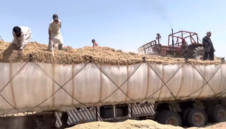 How to load sugarcane bagasse into truck